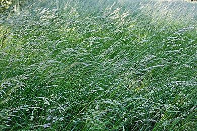 《守望先锋2》新视频 索杰恩起源故事公开